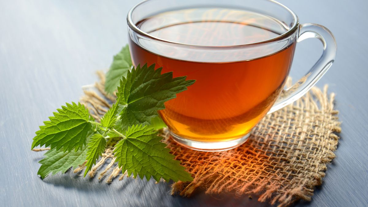 Tasse de chicorée infusée avec des feuilles fraîches à côté.
