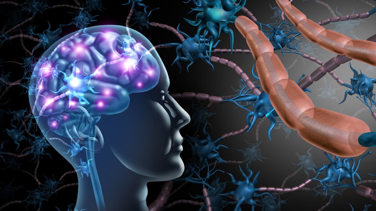 Illustration du cerveau humain avec des neurones et synapses en action.