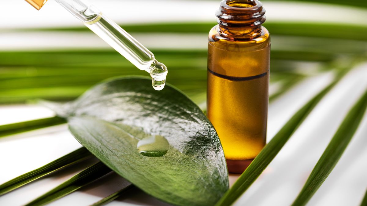 Flacon d'huile d'arbre à thé avec une pipette et une feuille verte.