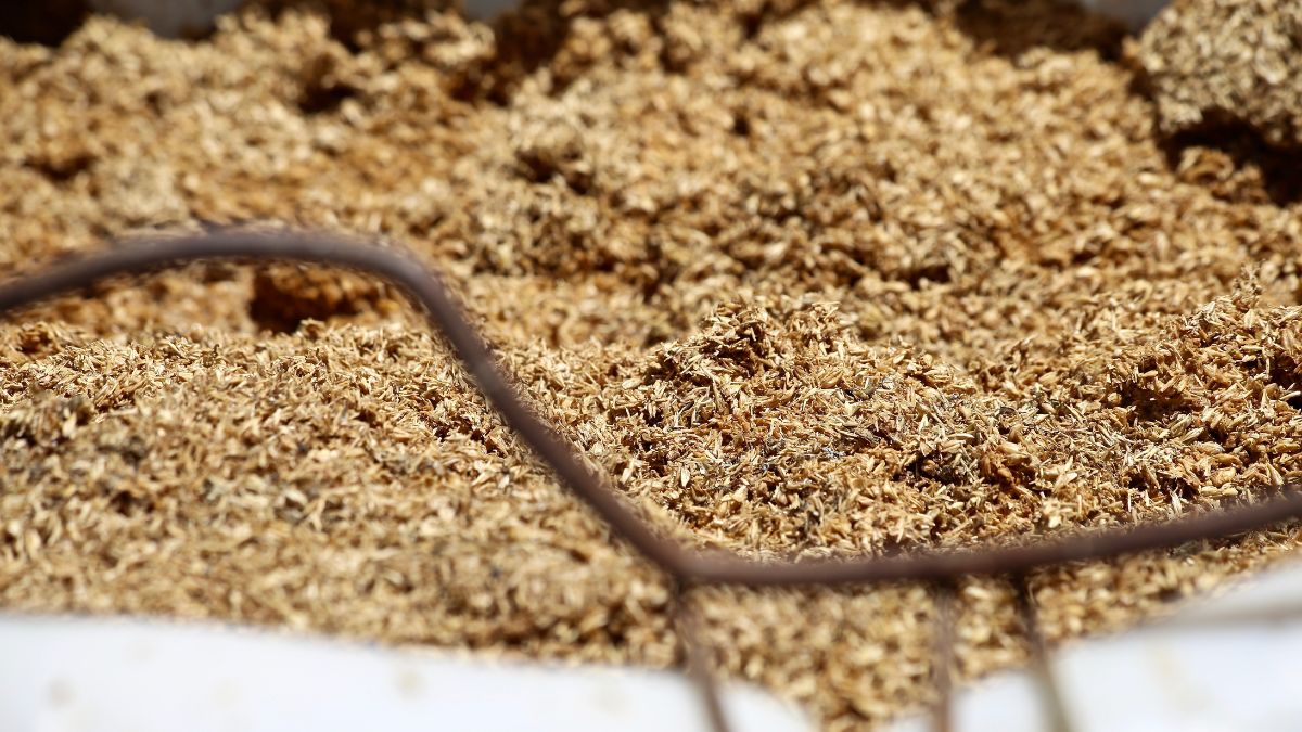 Sous-produit : signification, définition et exemples dans l’industrie Un tas de sous-produits agricoles, illustrant la valorisation des déchets.